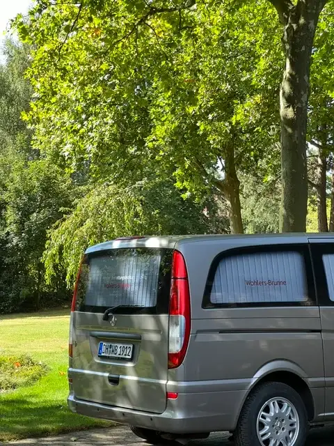 Das Bestattungsfahrzeug von Wohlers-Brunne unter alten Bäumen