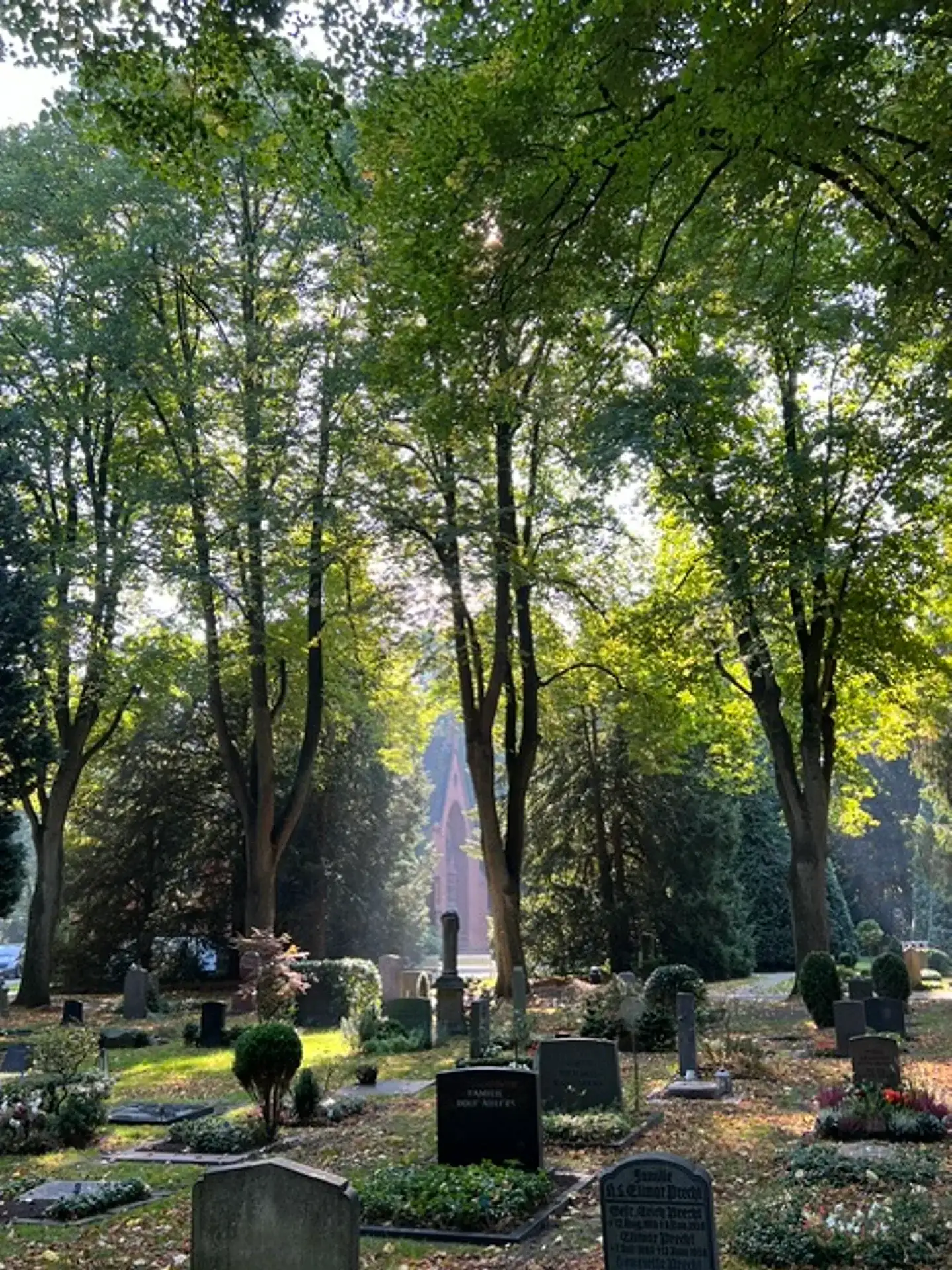 Friedhof mit alten Bäumen im Morgenlicht, im Hintergrund eine Kapelle