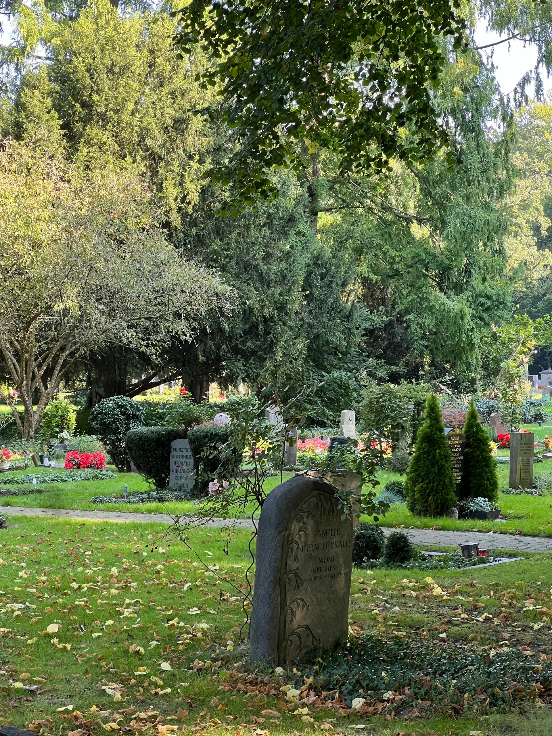 Alter Grabstein mit Efeu auf einem herbstlich gefärbten Friedhof