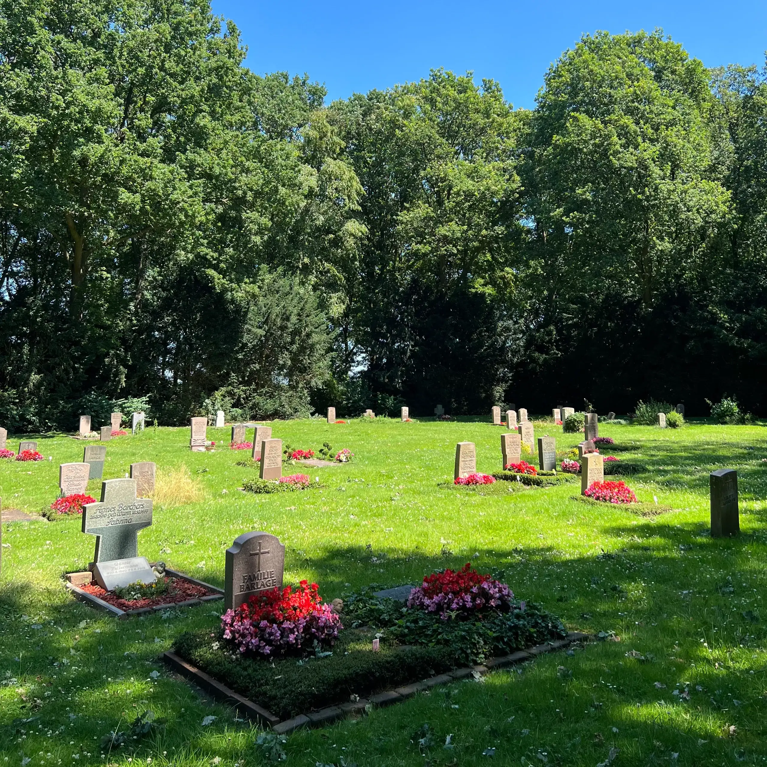 Friedhof im Sommer: Reihengräber mit Blumen unter alten Bäumen