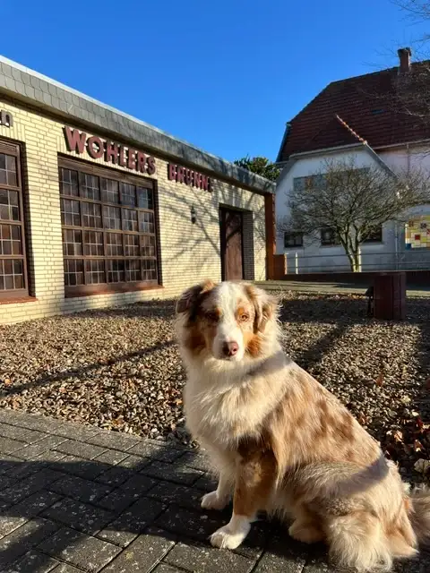 Der Eingangsbereich des Bestattungsinstituts Wohlers-Brunne bei klarem Winterlicht